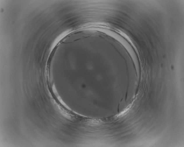 X0000066121050200604071907