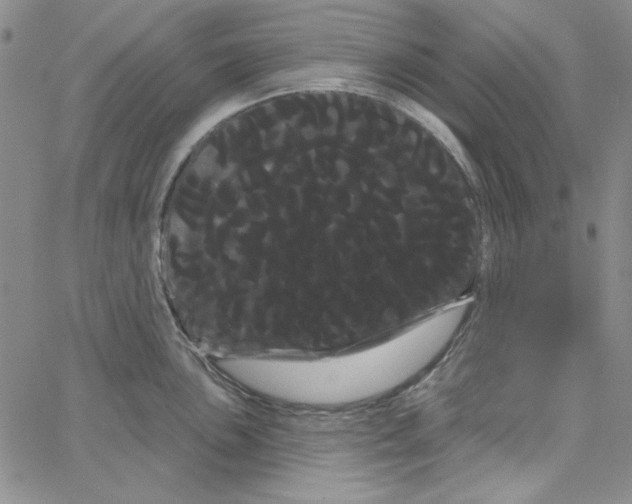 X0000066121051200604071907