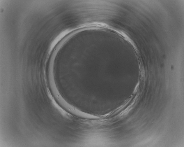 X0000066121054200604071907