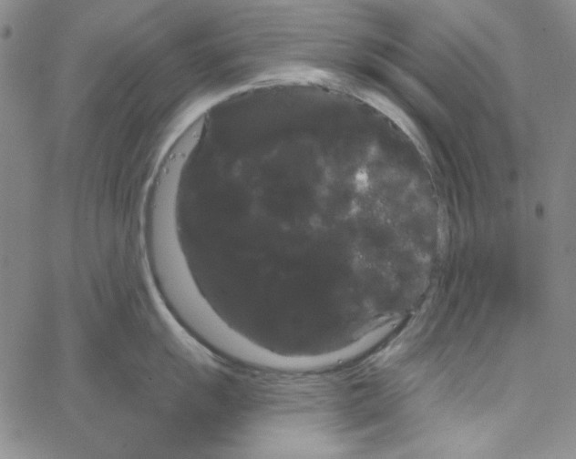 X0000066121055200604071907