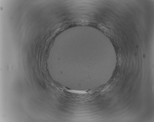 X0000066121057200604071906