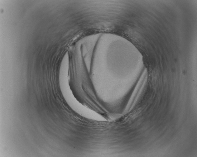 X0000066121058200604071906