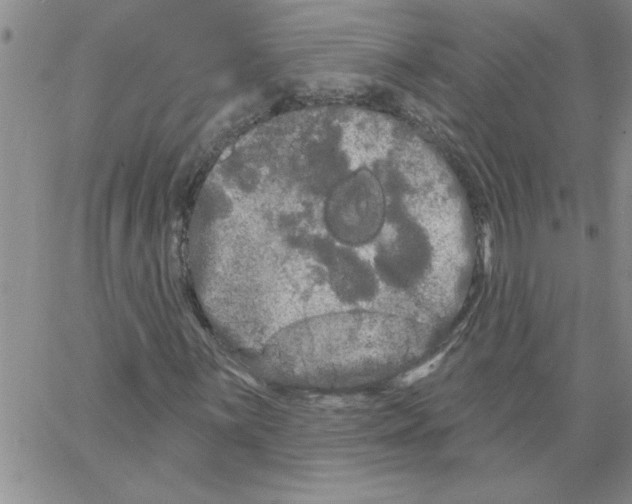 X0000066121059200604071906