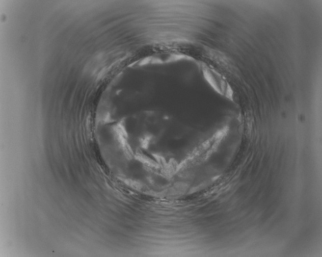 X0000066121060200604071906