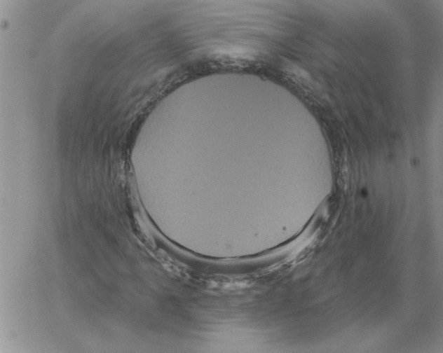 X0000066121061200604071906