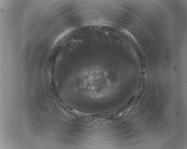 X0000066121064200604071906