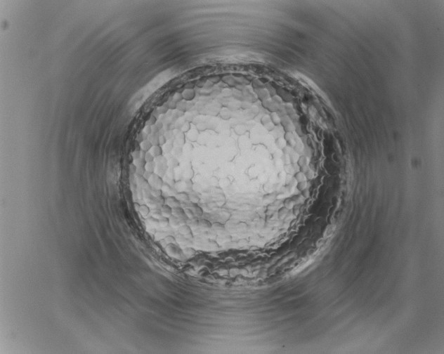 X0000066121065200604071906