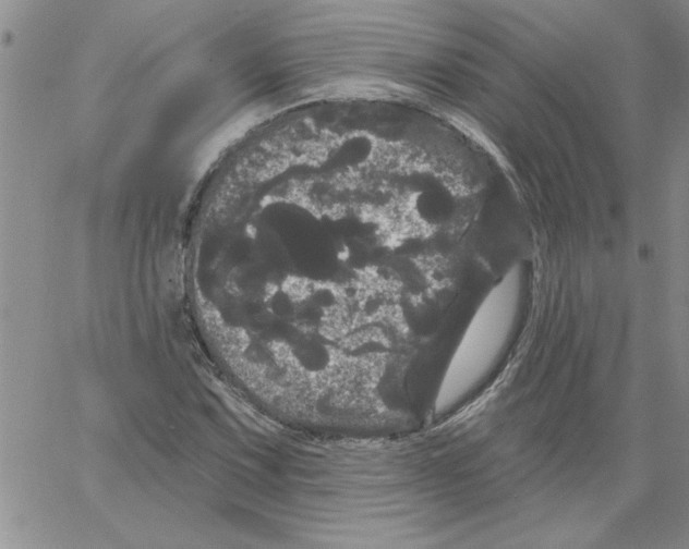 X0000066121067200604071906