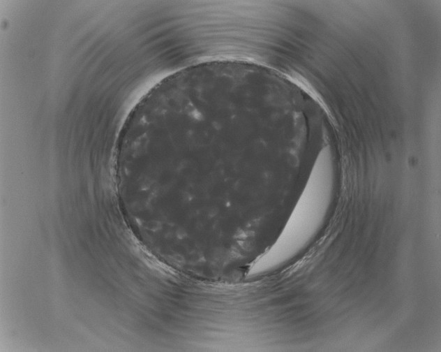 X0000066121068200604071906