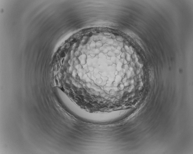 X0000066121069200604071906