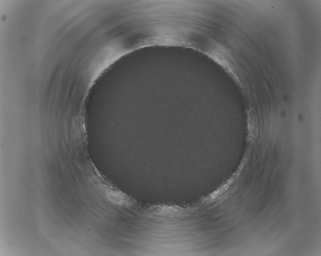 X0000066121070200604071906