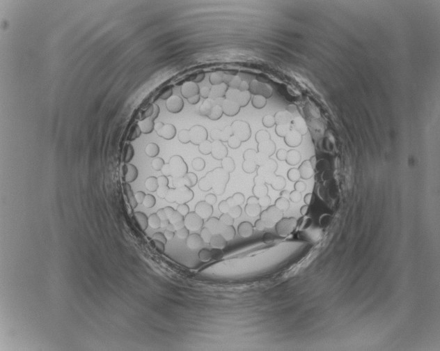 X0000066121073200604071906