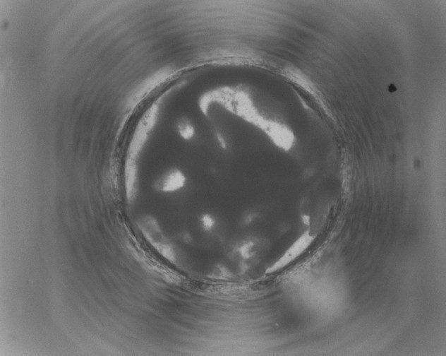 X0000066121074200604071906