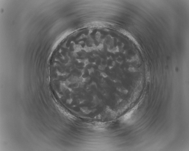 X0000066121075200604071906