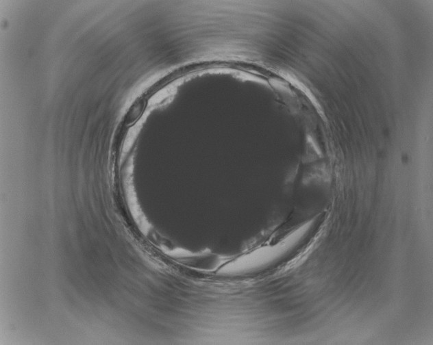 X0000066121077200604071906