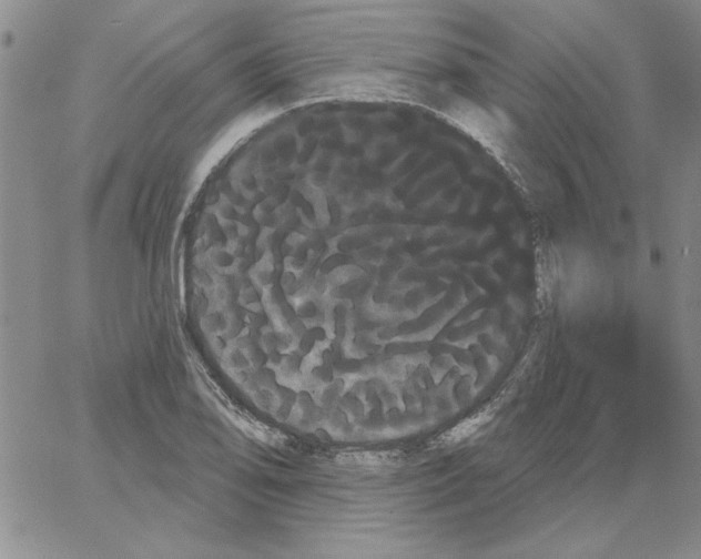 X0000066121078200604071906