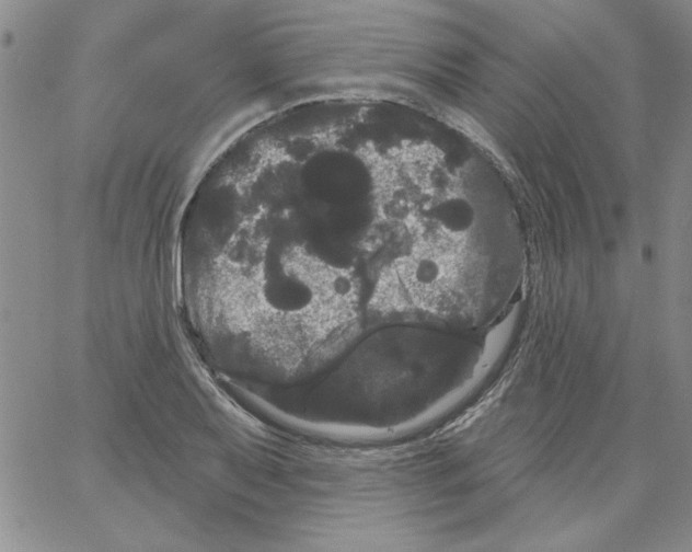 X0000066121079200604071906