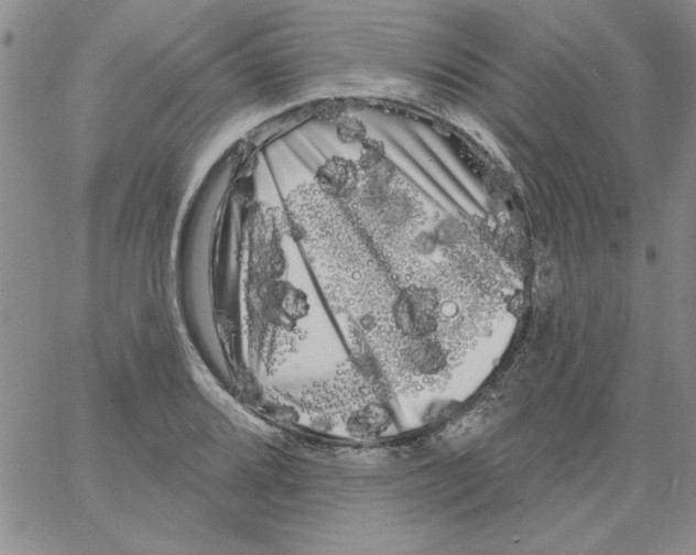 X0000066121080200604071906