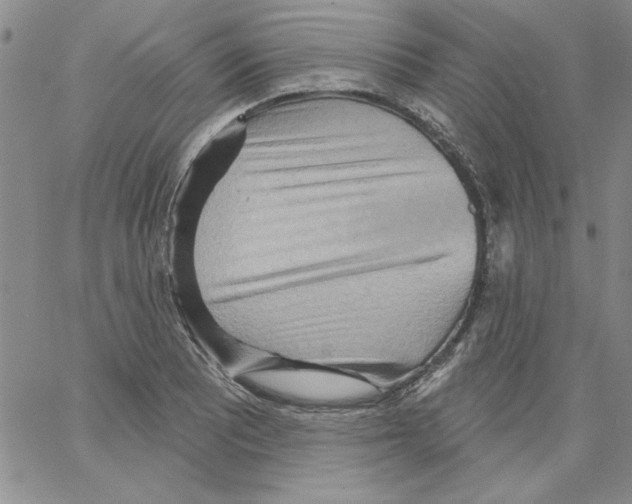 X0000066121081200604071906