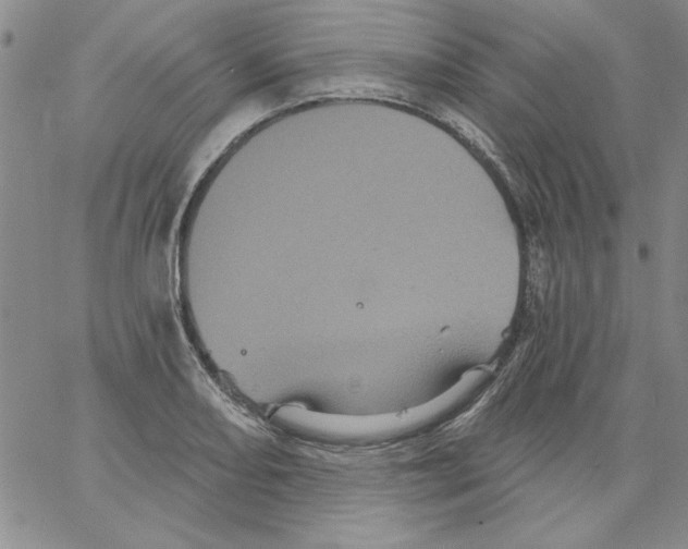 X0000066121082200604071906