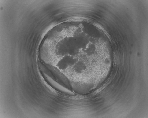 X0000066121083200604071906