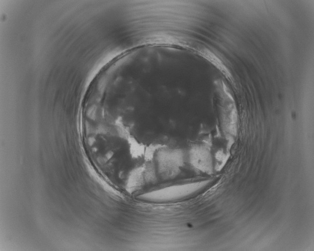 X0000066121084200604071906