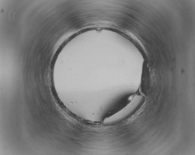 X0000066121085200604071906