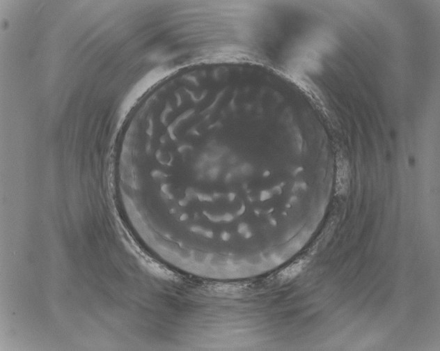 X0000066121086200604071906