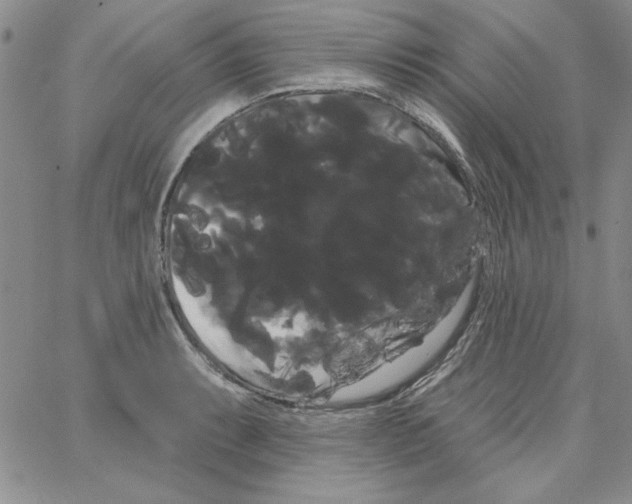 X0000066121087200604071906