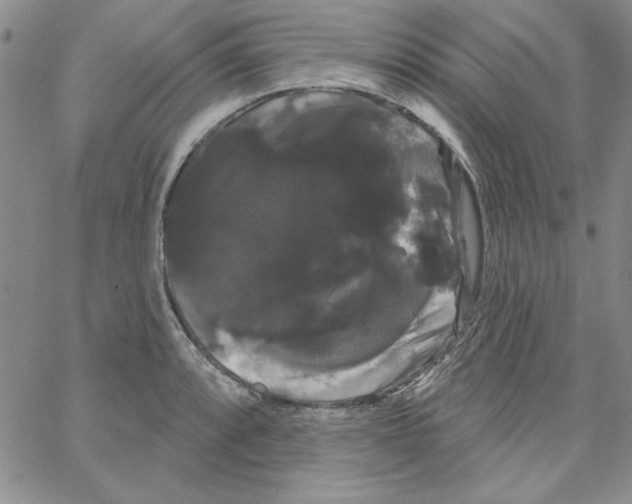 X0000066121088200604071906