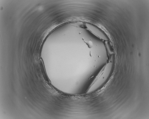 X0000066121089200604071906