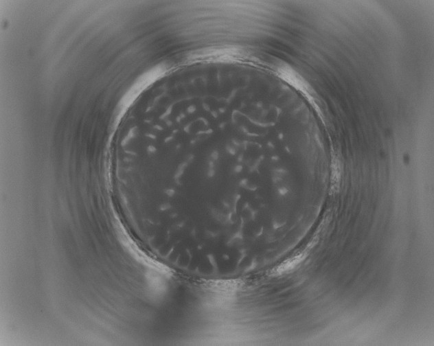 X0000066121090200604071906