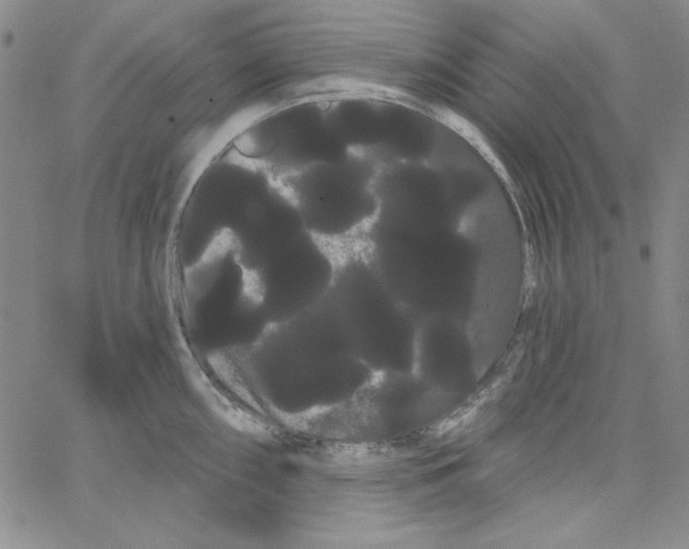 X0000066121098200604071906