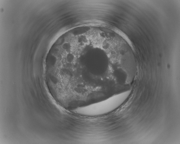 X0000066121099200604071906