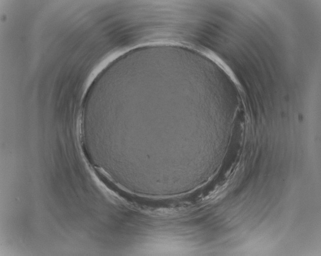 X0000066121101200604071906