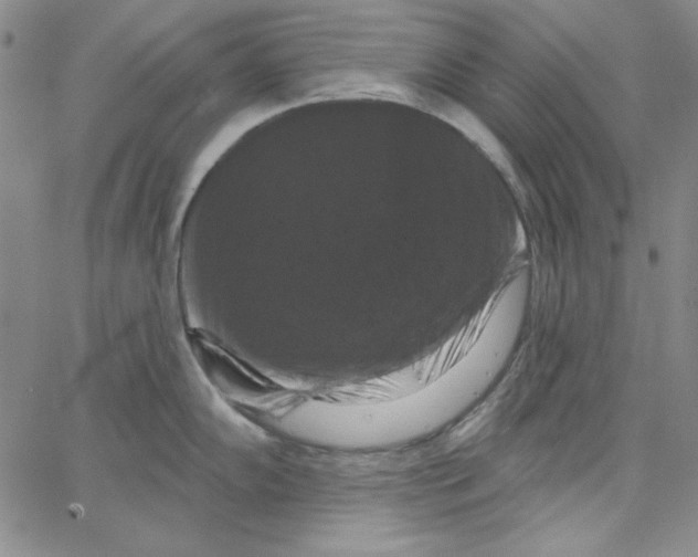 X0000066121102200604071906