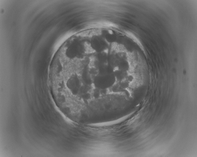 X0000066121103200604071906