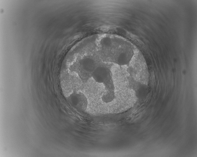 X0000066121105200604071905