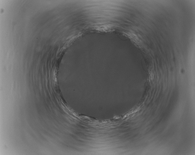 X0000066121106200604071905