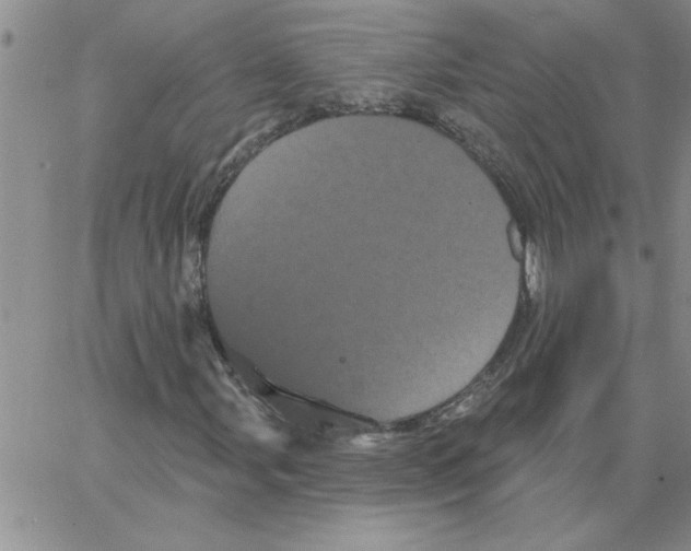 X0000066121107200604071905