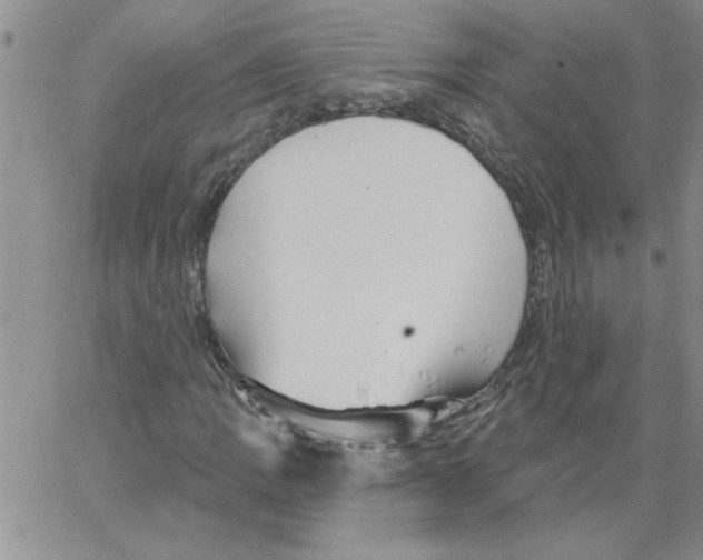 X0000066121109200604071905