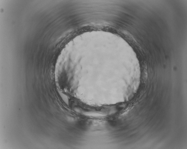 X0000066121110200604071905