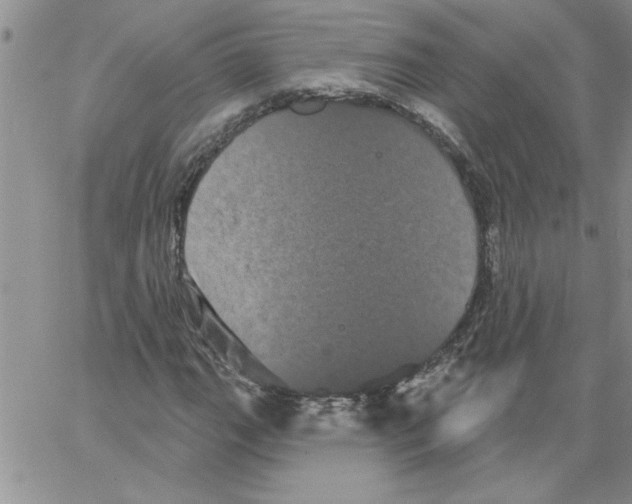 X0000066121111200604071905