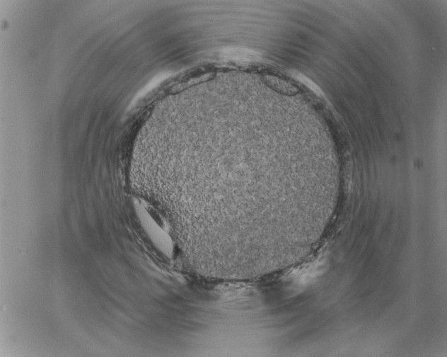 X0000066121112200604071905