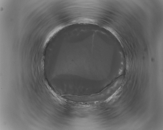 X0000066121115200604071905