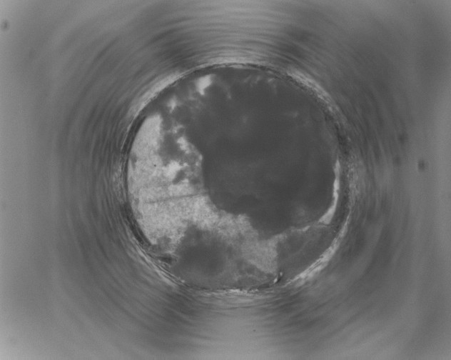 X0000066121121200604071905