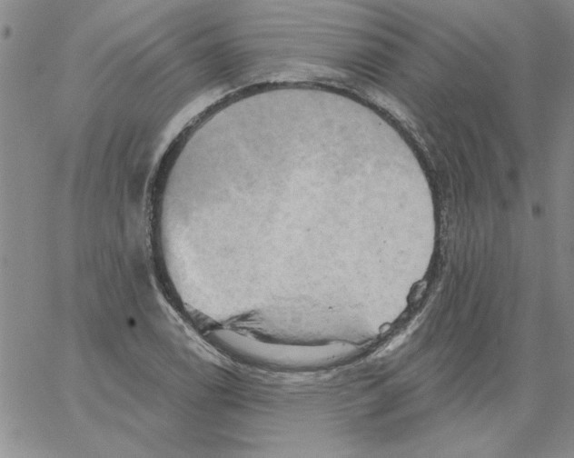 X0000066121122200604071905