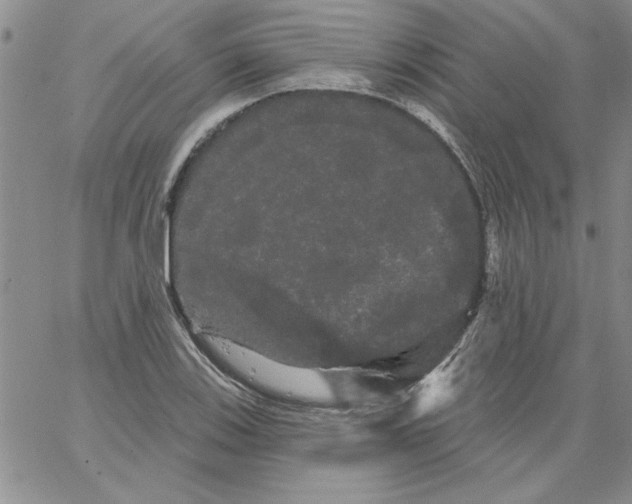 X0000066121123200604071905