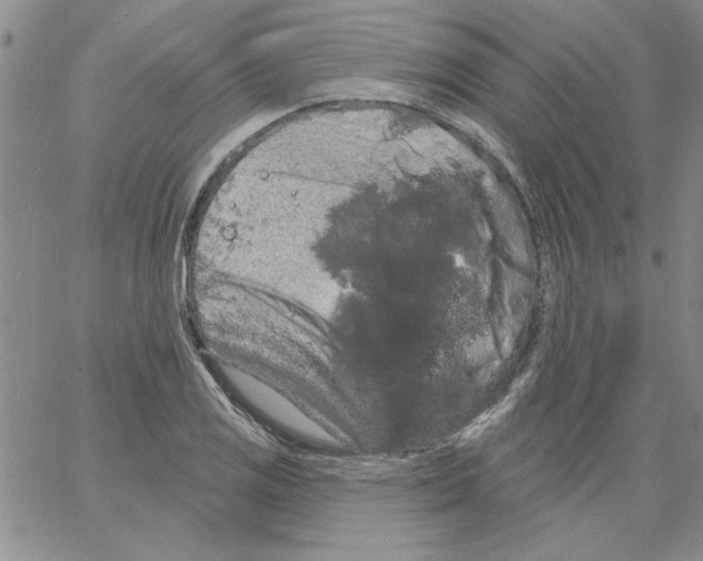 X0000066121125200604071905