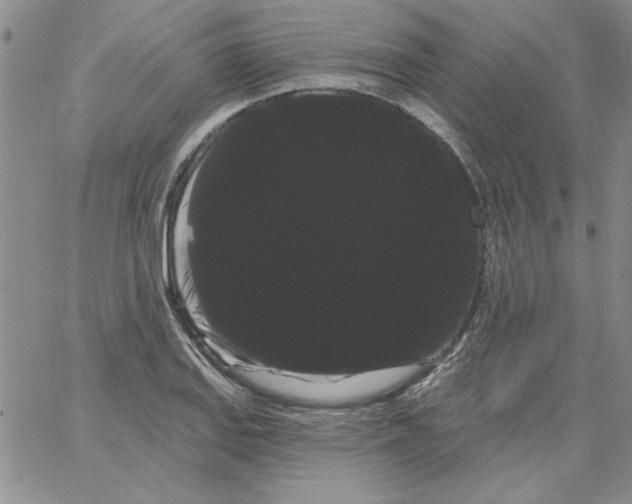 X0000066121127200604071905